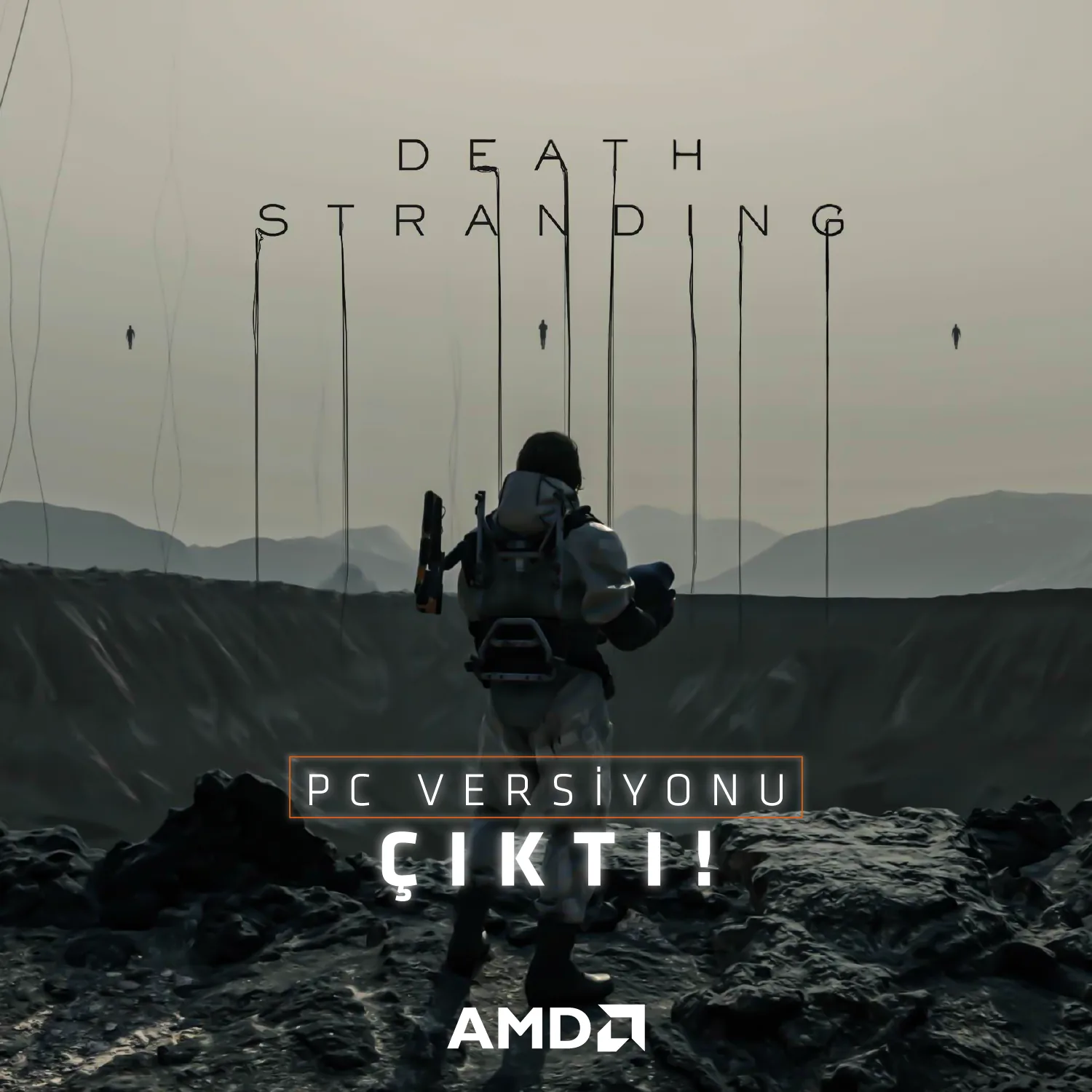 AMD — seçili çalışma 6