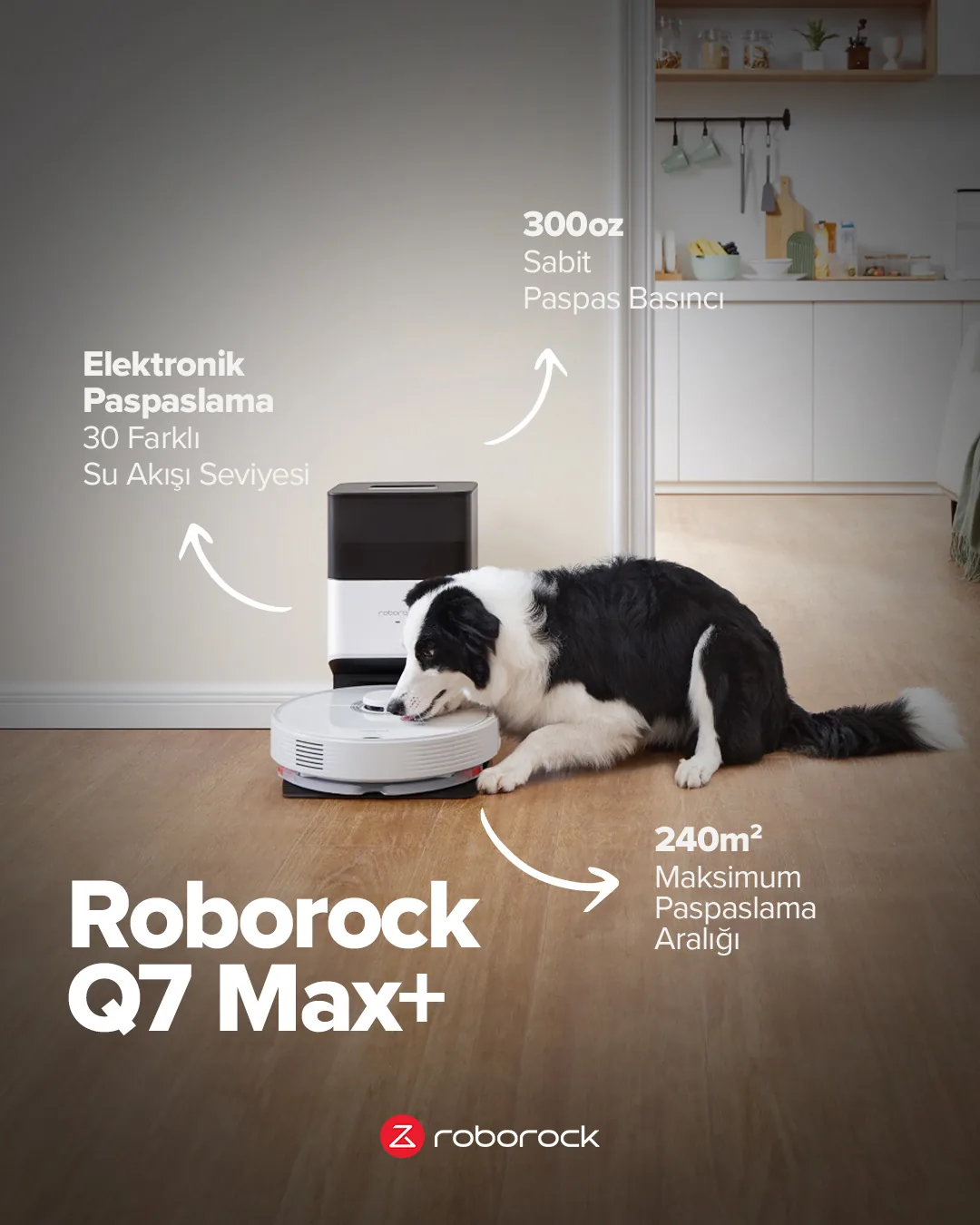 Roborock — selected work 6
